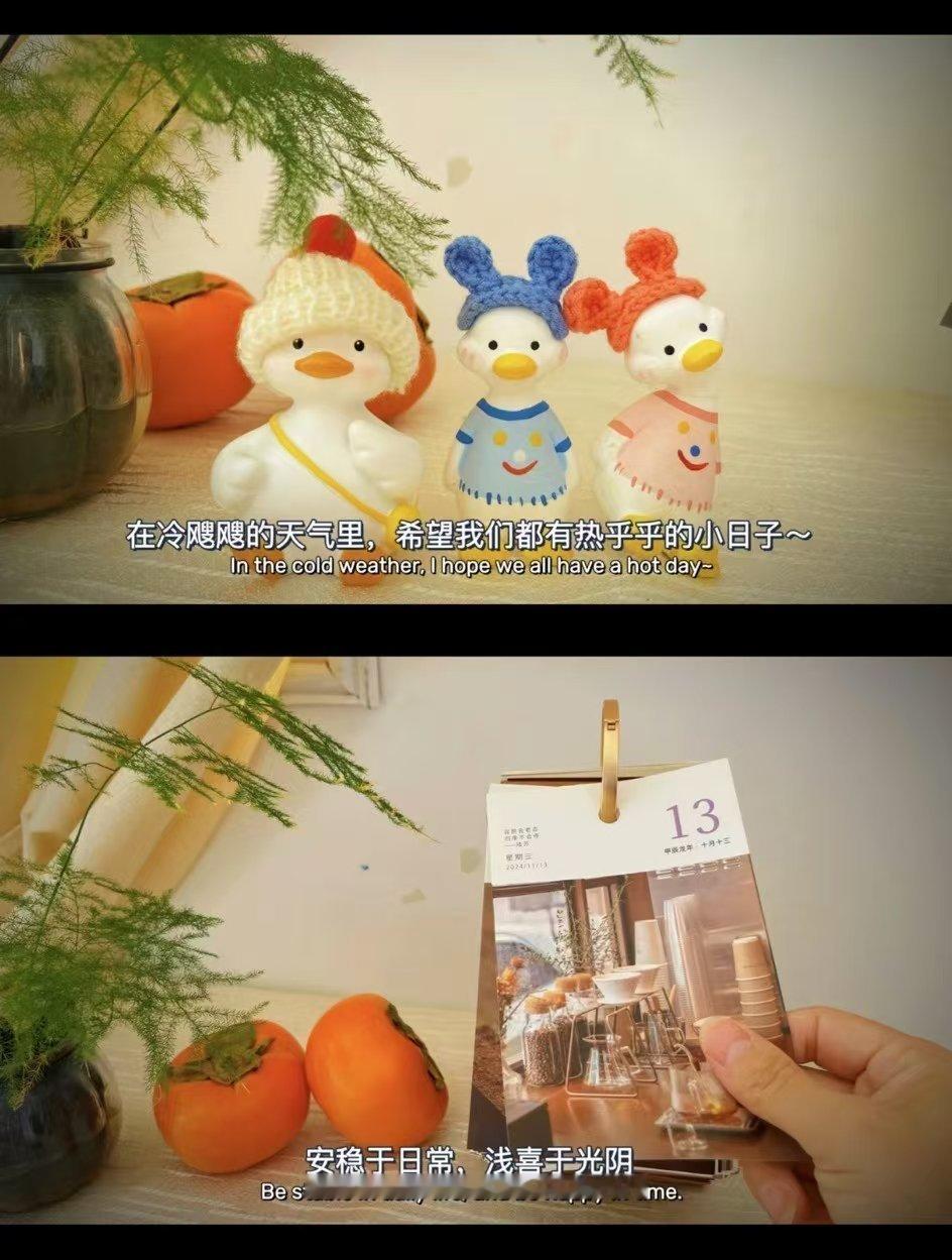 冷飕飕的天气里希望我们都有热乎乎的小日子安稳于日常，浅喜于光阴 
