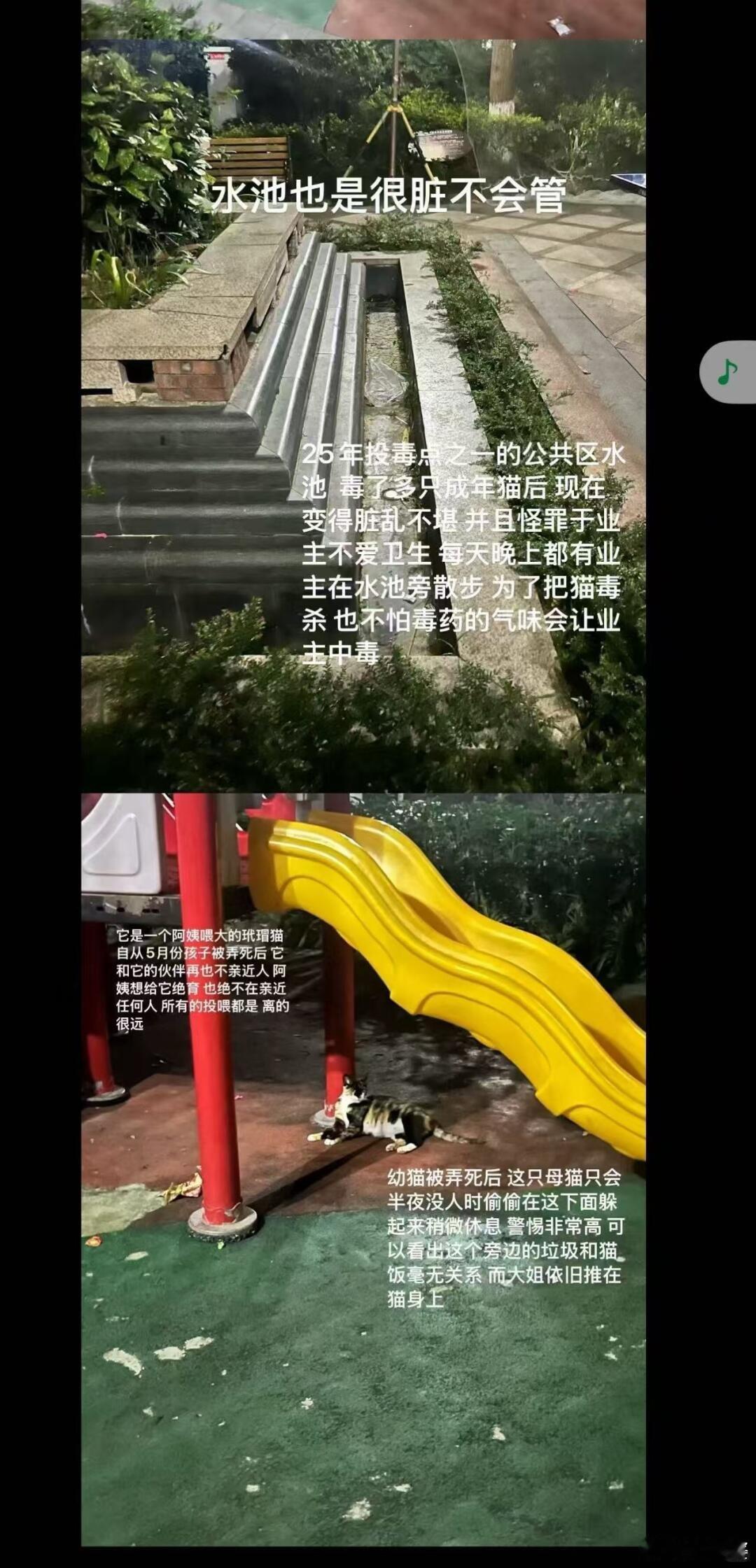 -天呐，为什么要对小流浪这么残忍？？为什么业主反应，物业还说保洁没问题？？ 