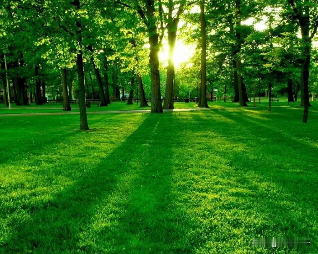 穷落后与富先进之别
1.有人认为自己穷是由于富人的剥削和多占没有自己的原因
2.