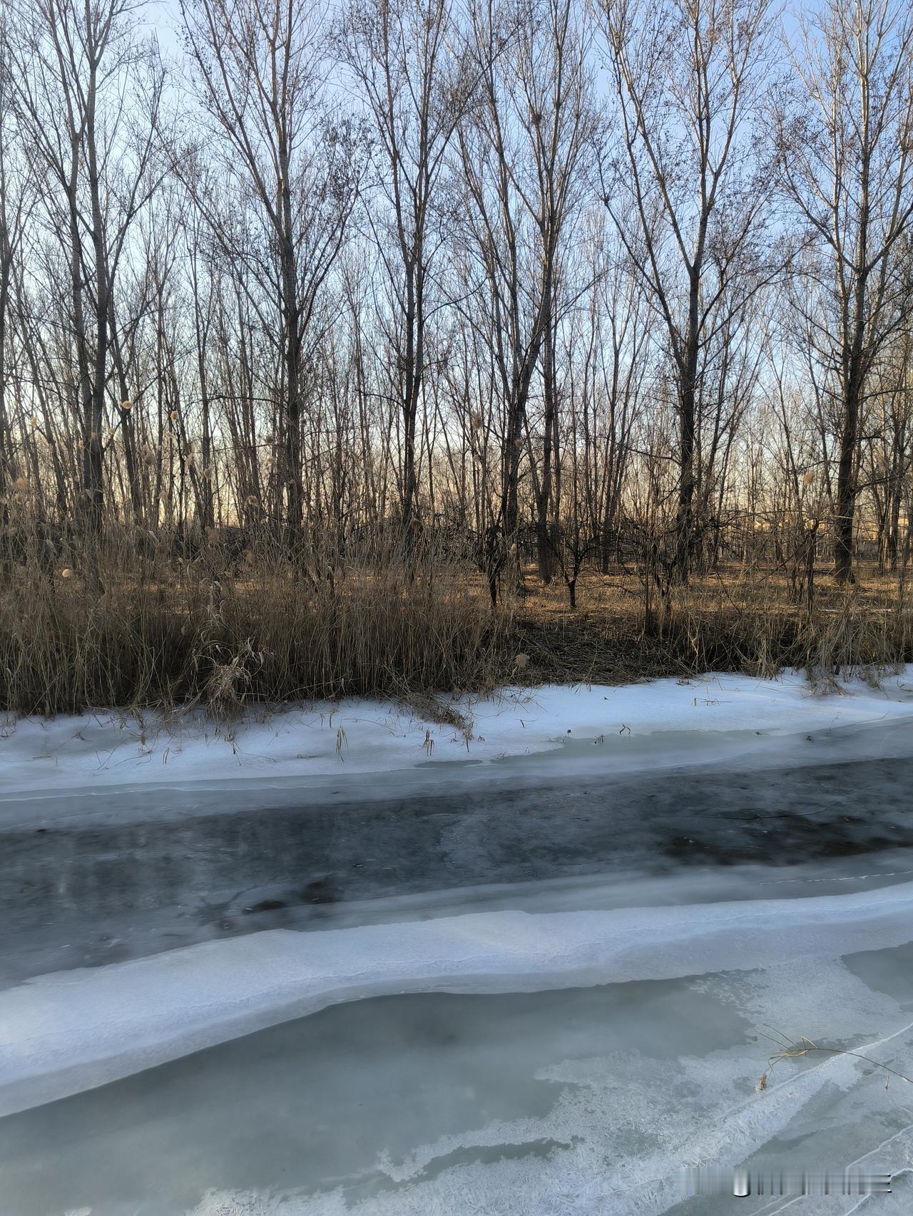 分享我这周有趣的事：