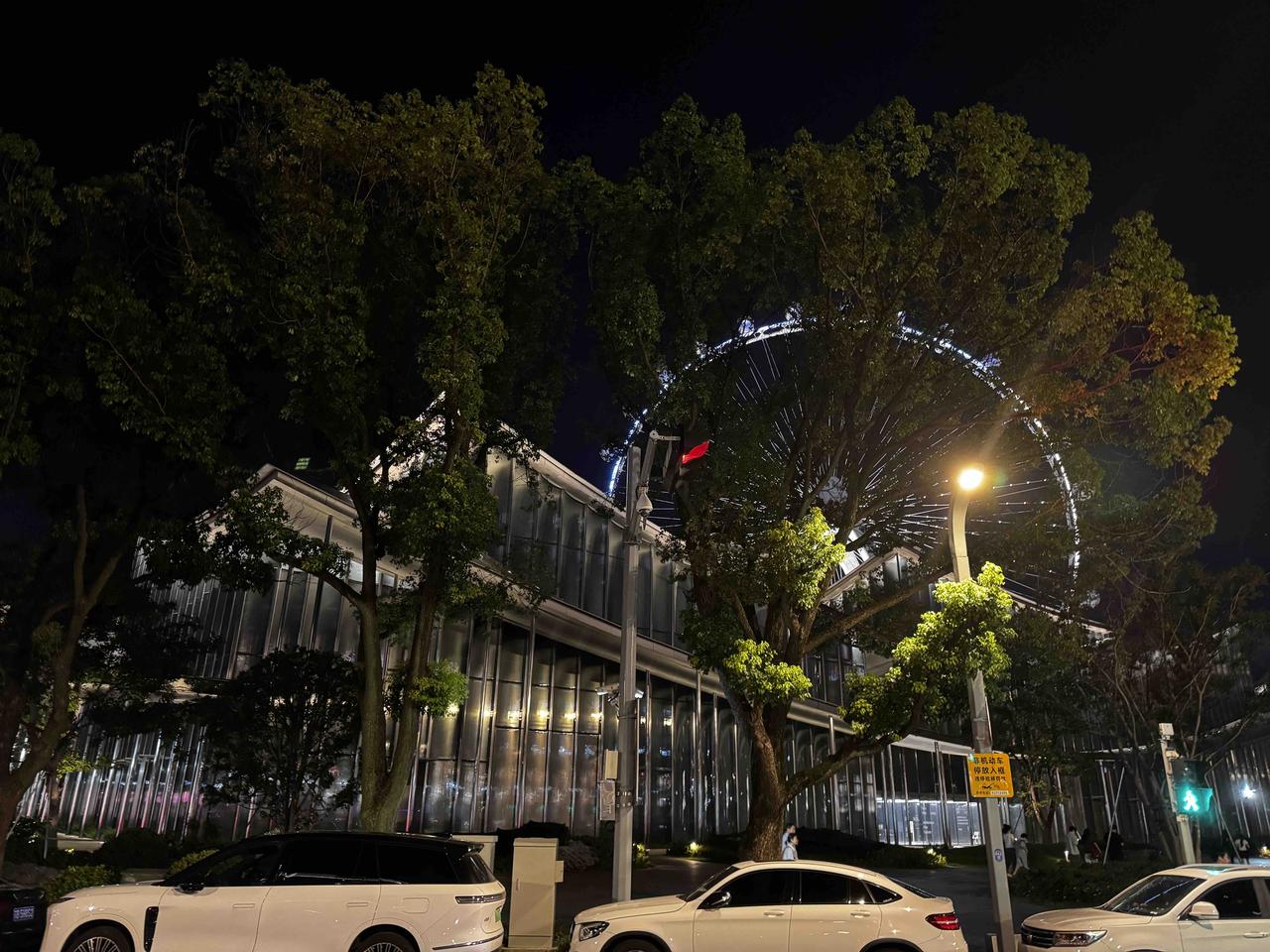 城市的夜晚.城市入夜，摩天轮藏在树影之后