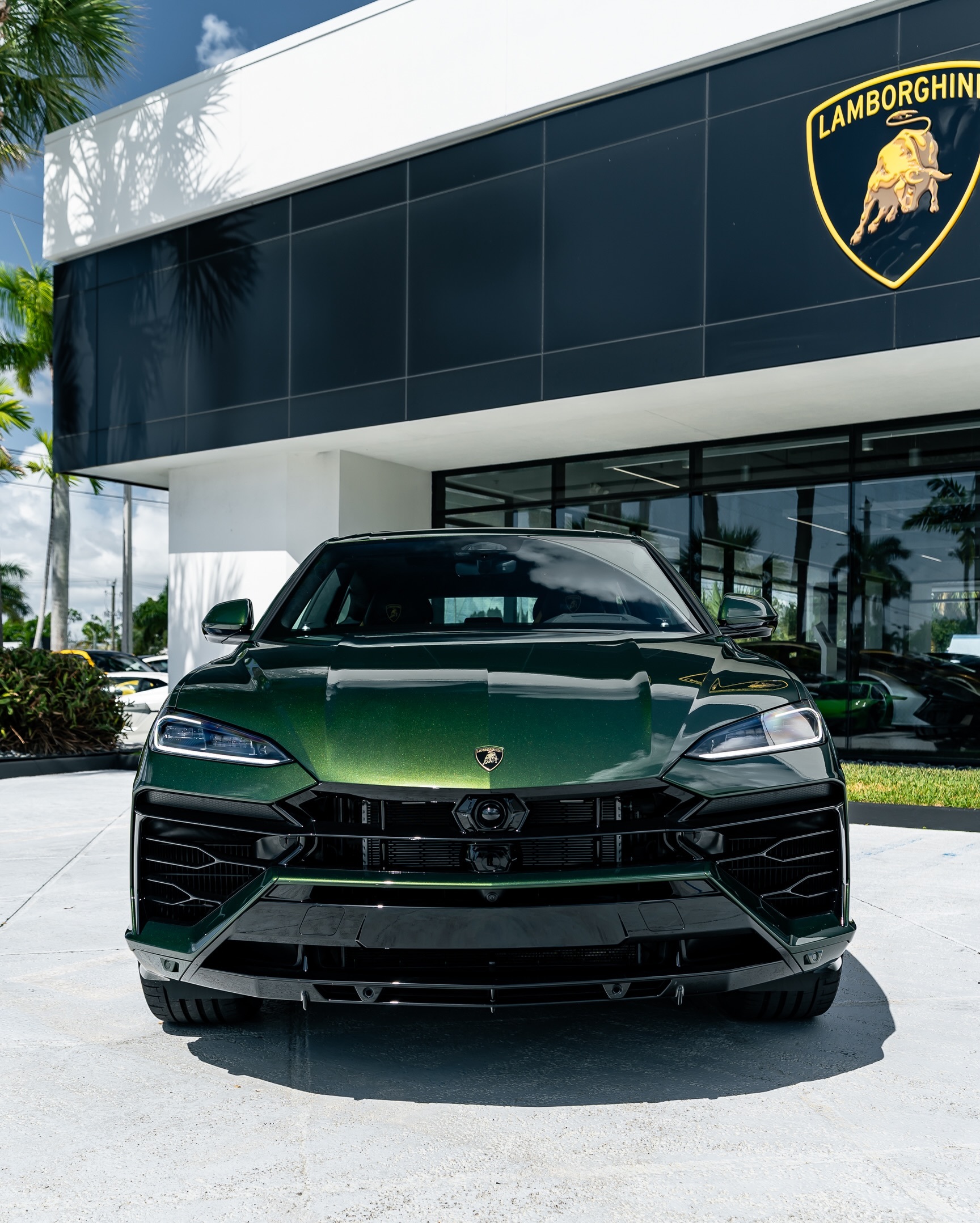 再来欣赏这台身披埃尔墨斯绿的绝美Urus SE，在佛罗里达的阳光下，车身每一道线