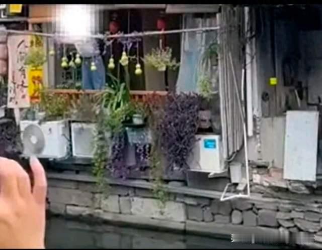 爷爷剪掉自家葫芦求清净，山寨葫芦又挂了出来