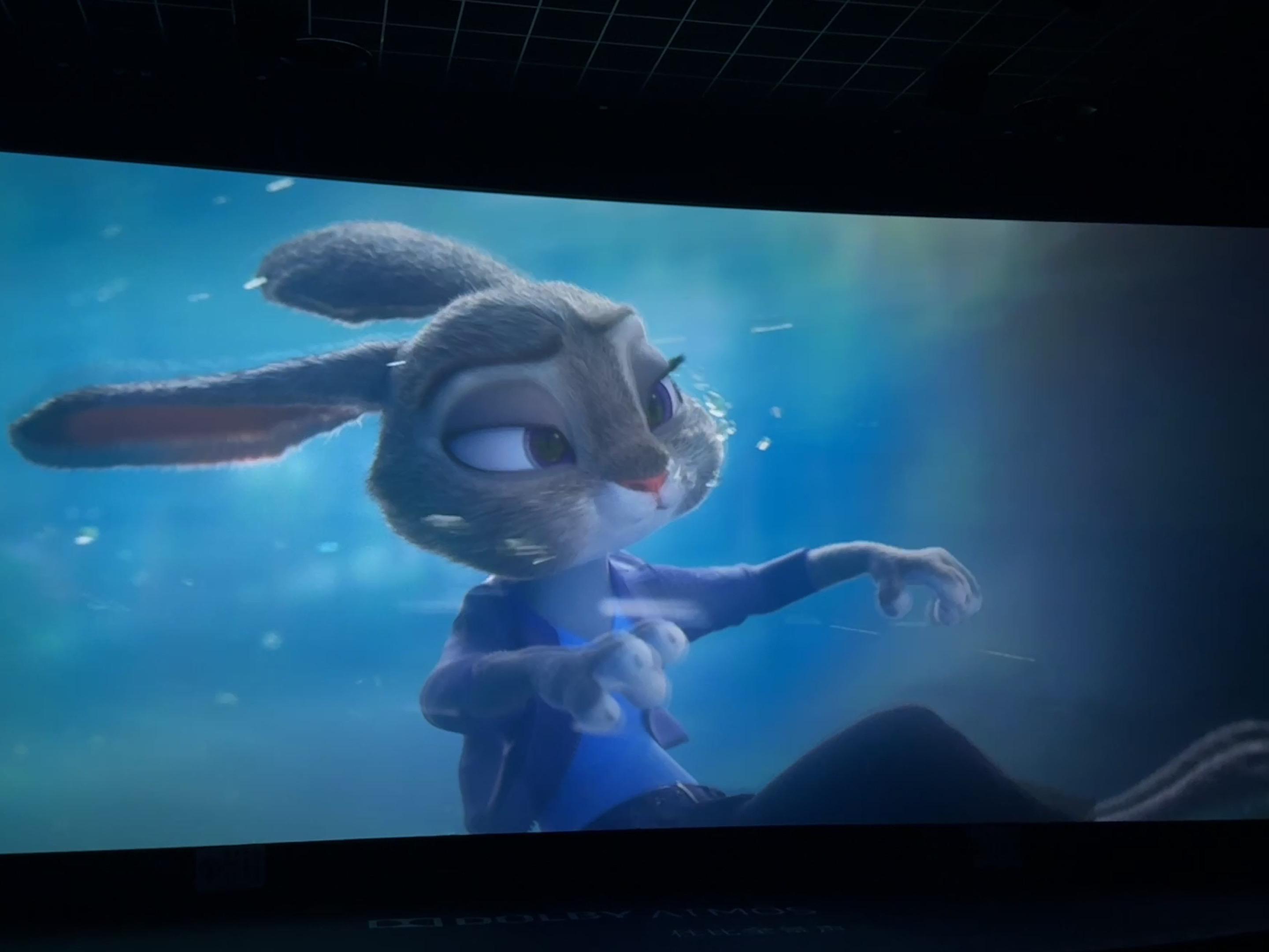 宿命感 不会发很久会删，很喜欢这个感觉分享一下…😭