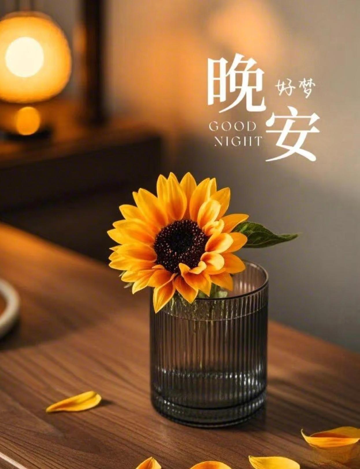 最好的生活状态有期待，有事做，有人爱若无，那就静待花开，笑看云卷云舒～晚安💤 