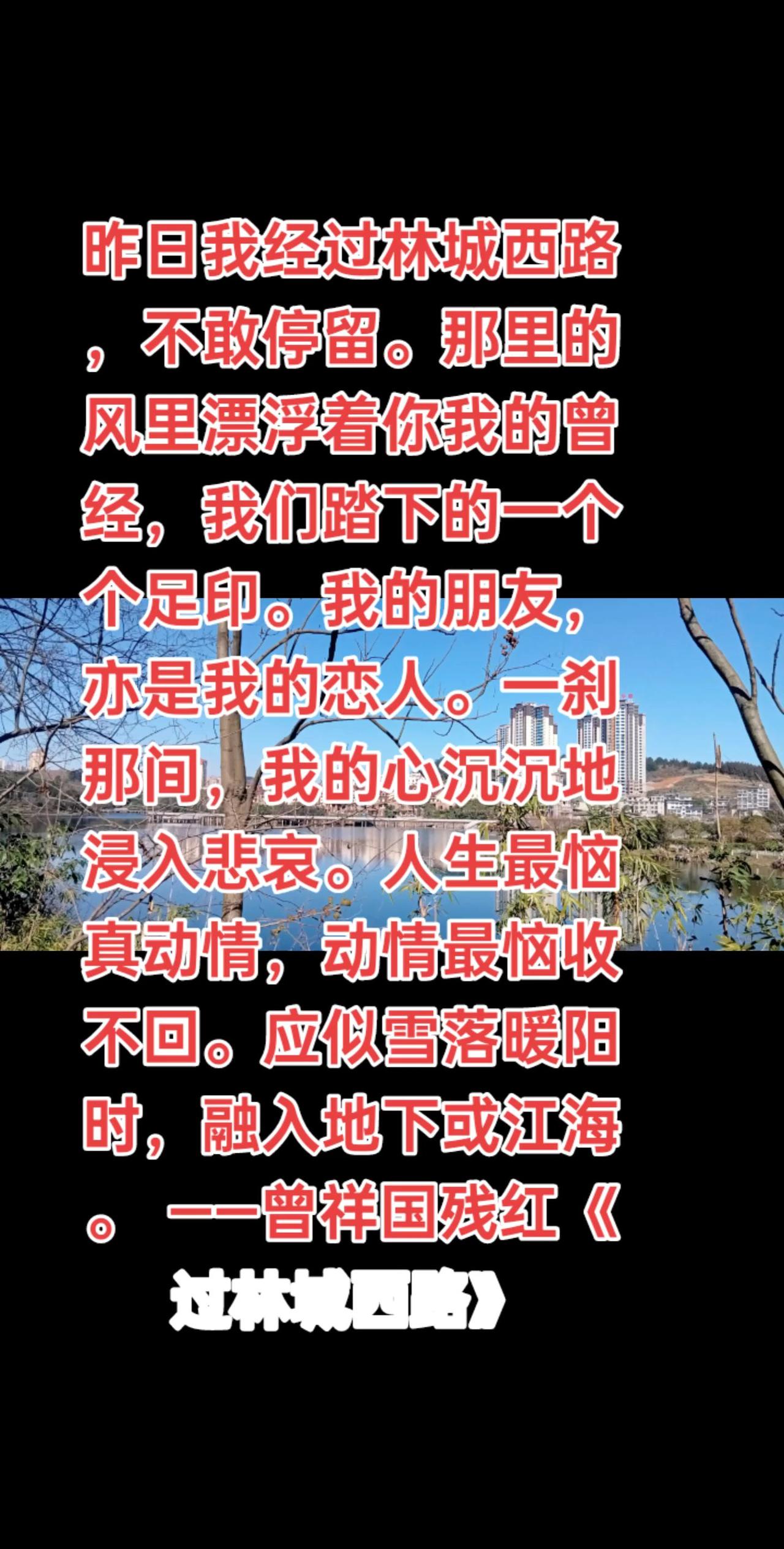 昨日我经过林城西路，不敢停留。那里的风里漂浮着你我的曾经，我们踏下的一个个足印。