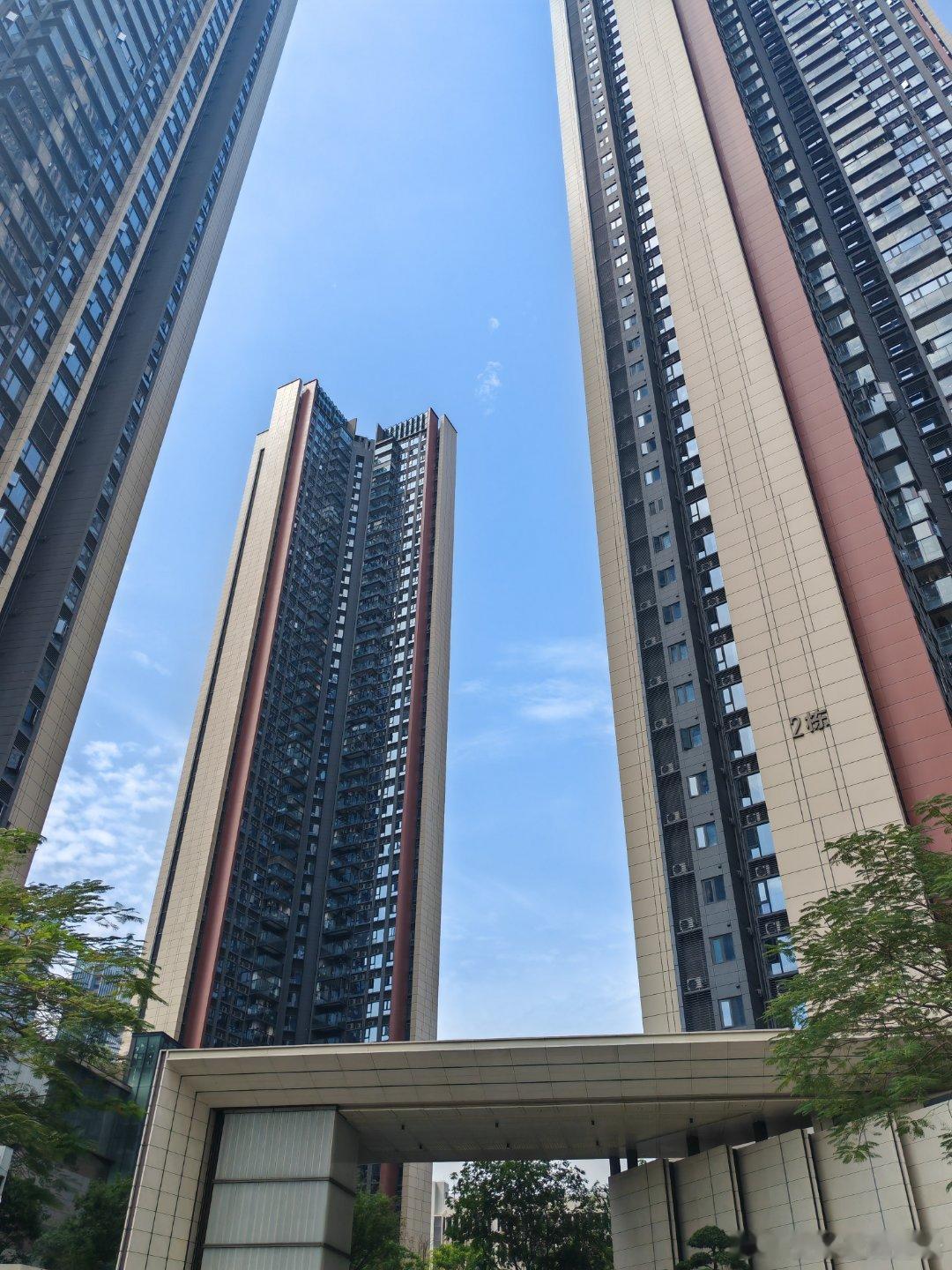 东周公园双子星，星河太高了。 深圳·光明