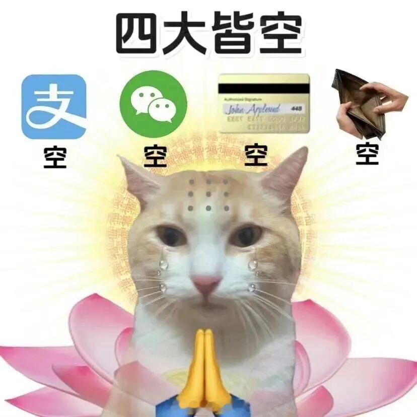 苹果全面涨价 唯一工资不见涨，你看看内存涨、油价涨、手机涨、电脑涨、平板涨、新车