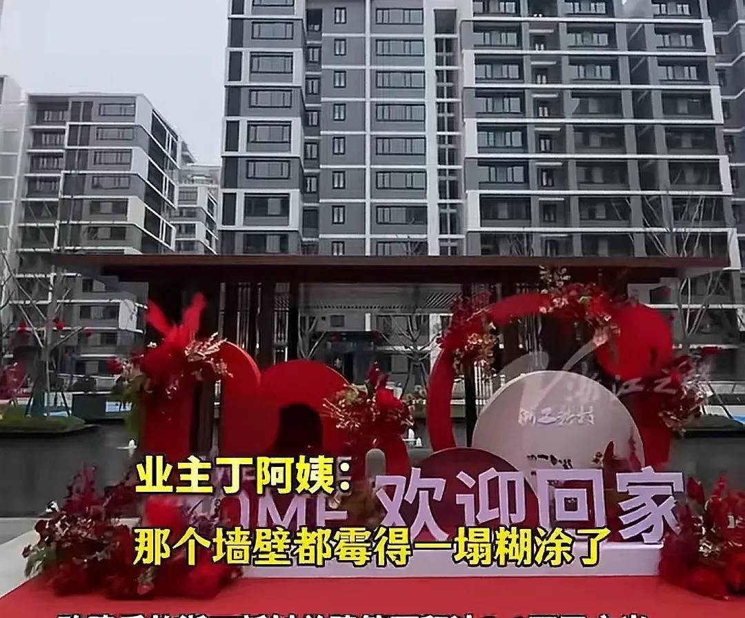 杭州首个原拆原建小区交付了，希望这个全国推广啊！
我现在住老破小，感觉哪都好，就