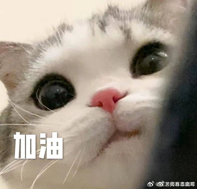 市井之谤，若盛夏积雪，见日即融。诋毁也好，构陷也罢～只要心不受力，就总向阳而生～