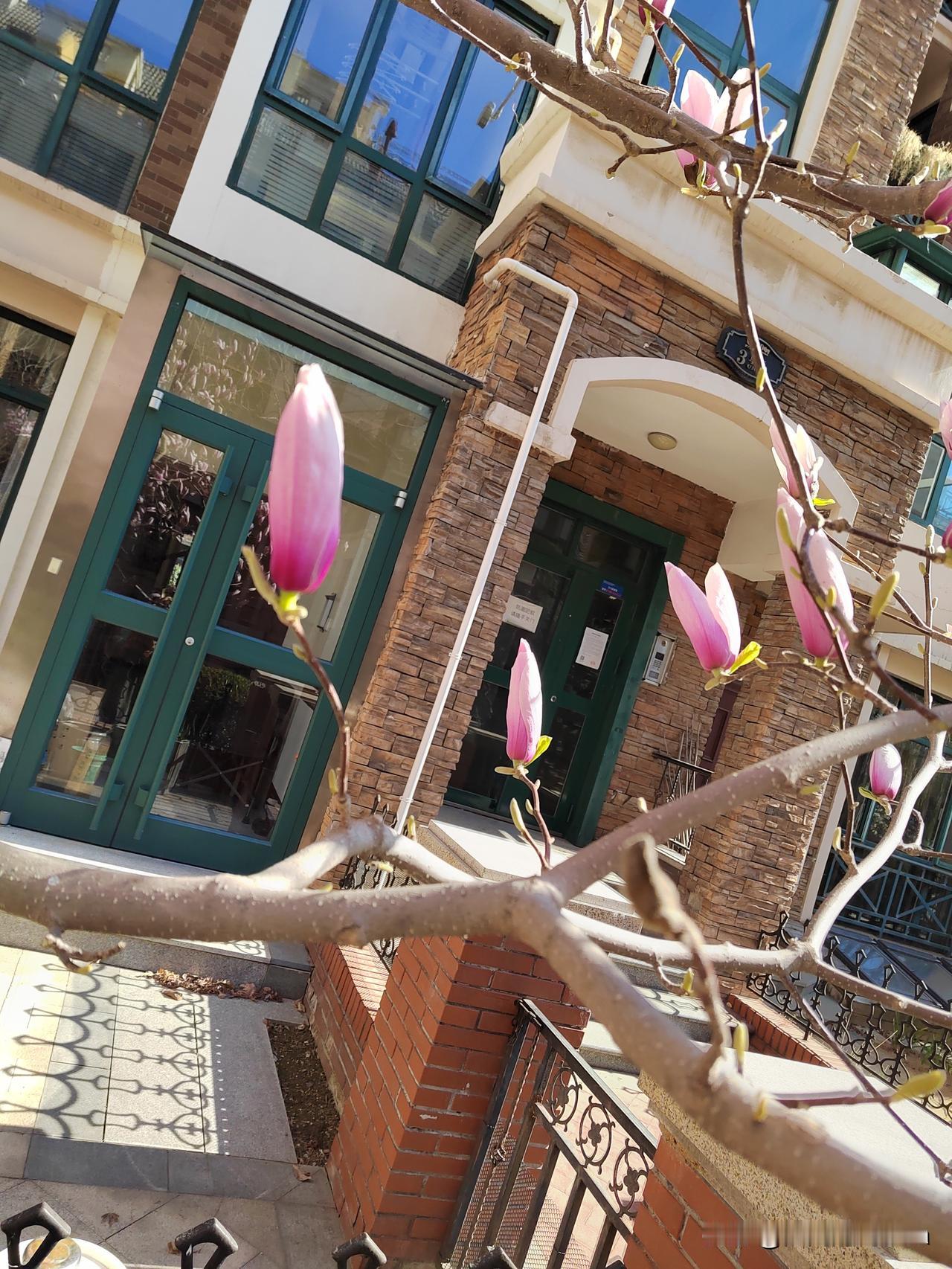 我是一名61岁的小老太太，活了大半辈子，实话实说，在这个烟换烟，酒换酒的年代，靠