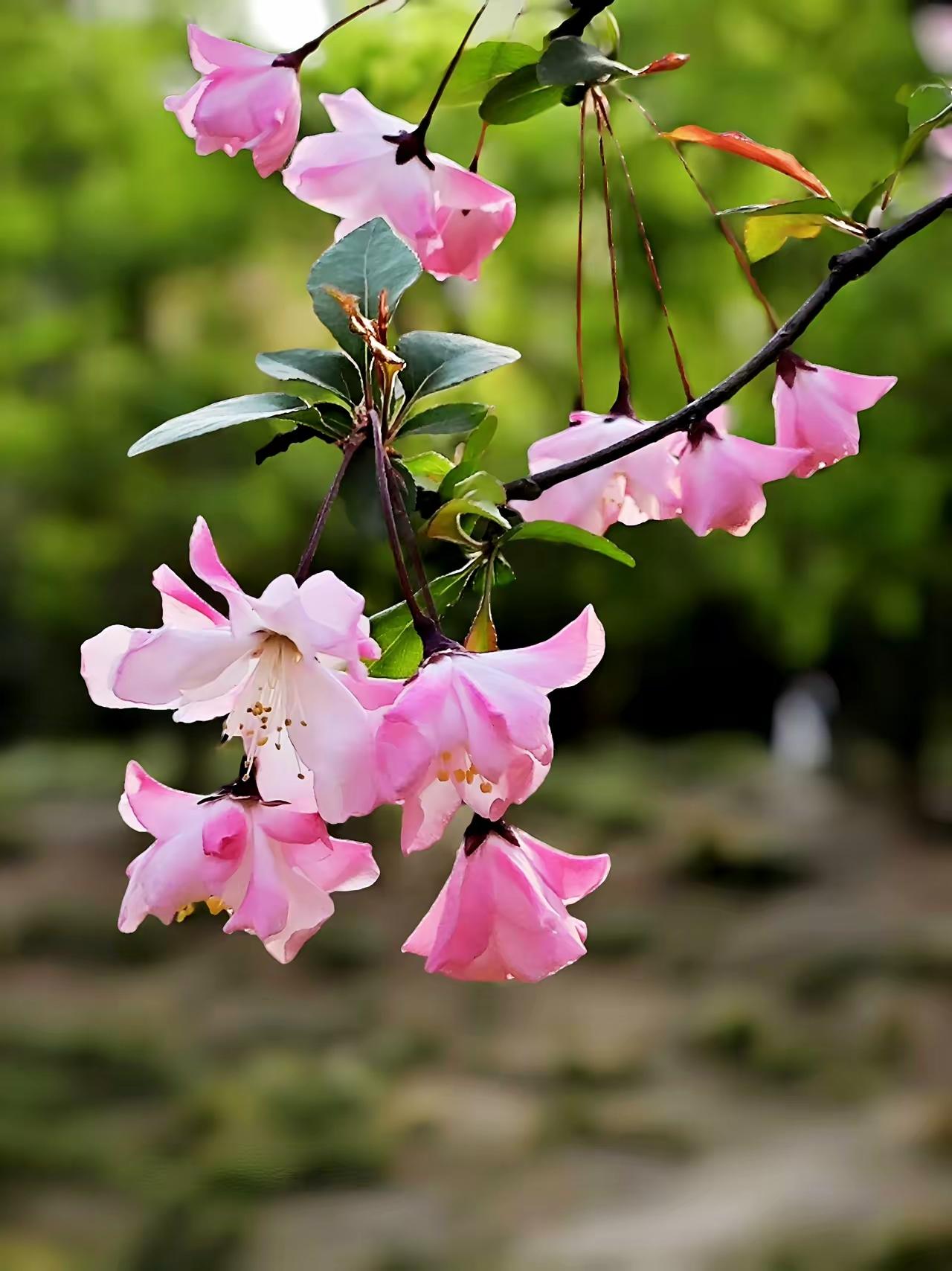 晒图笔记大赛 参加晒图笔记大赛，我有好多素材想分享。就像网络上深圳时装周夜拍的肤
