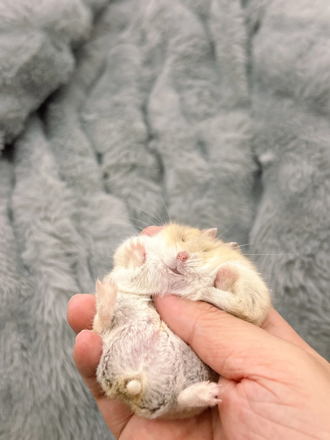 别睡啦