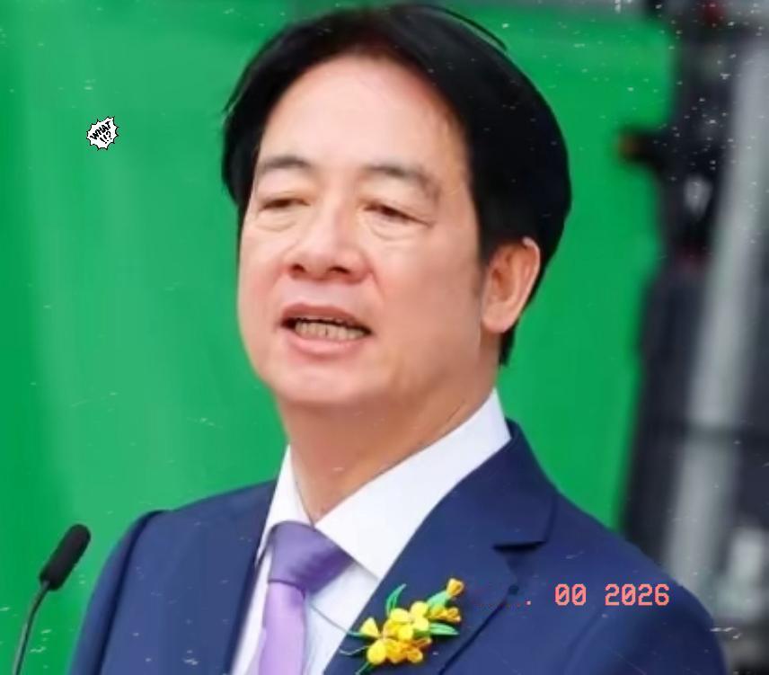 就在今天

赖清德刚刚宣布了：

1月10日赖清德公开活动中提及，需加强人工智能