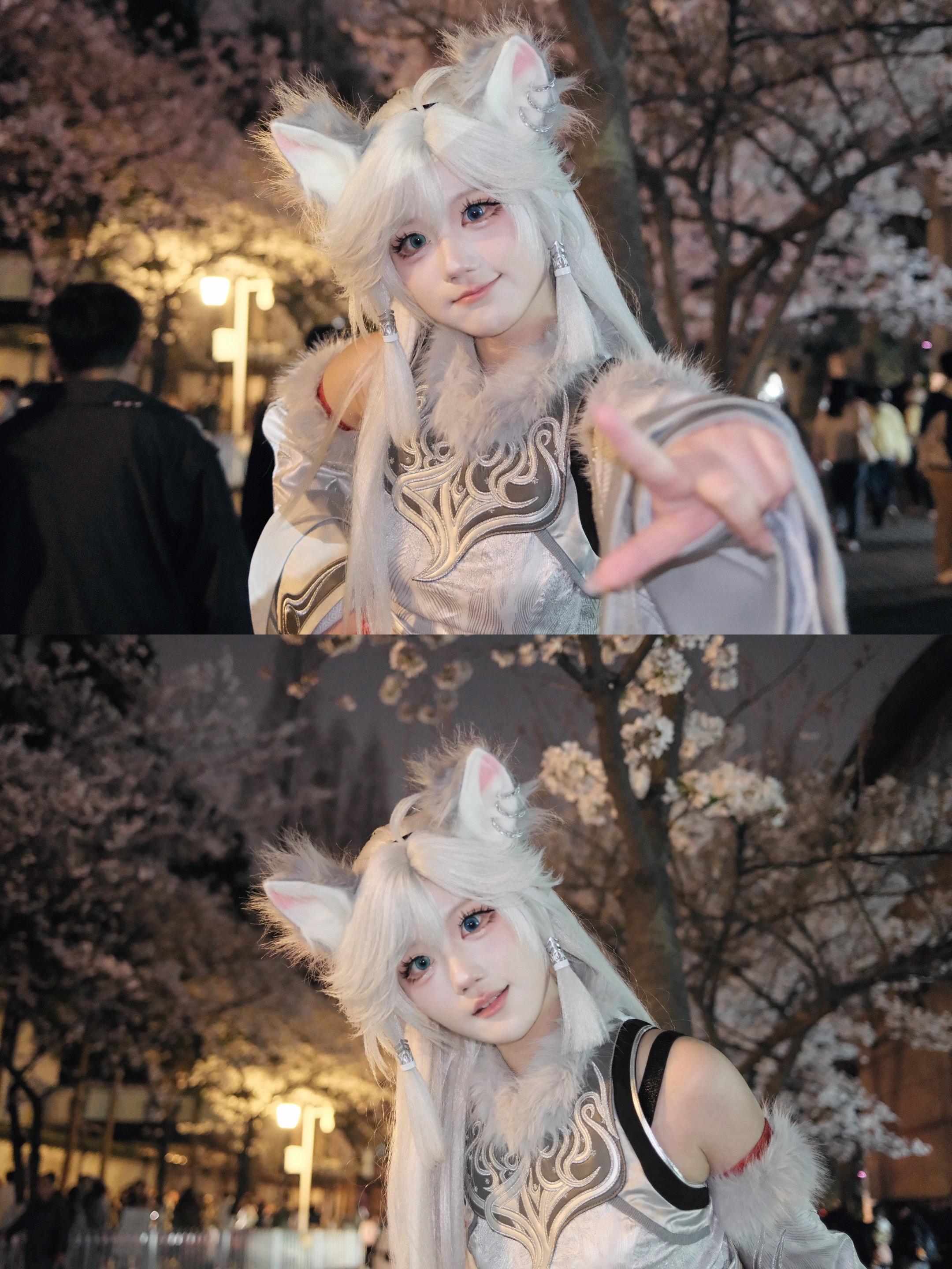 今日无事，不修炼，只赏花。