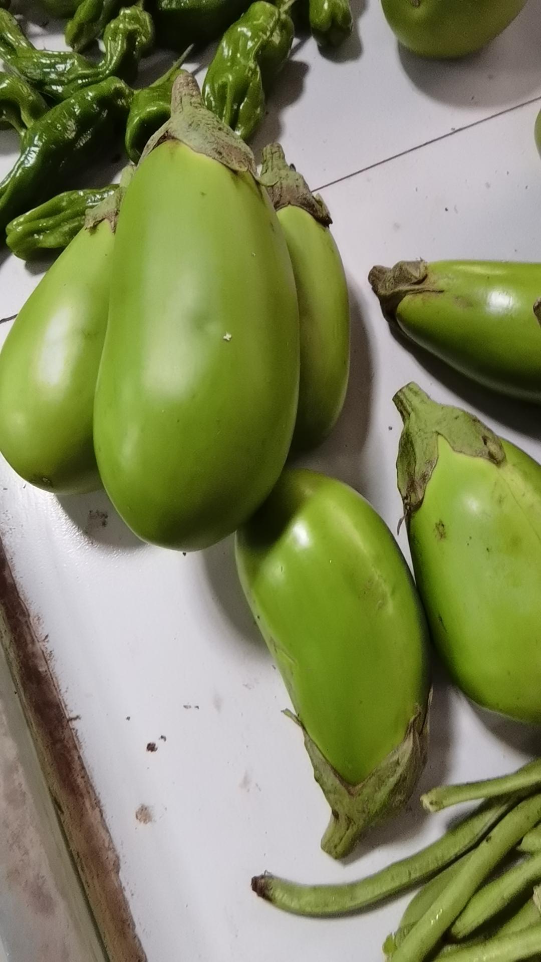[心]瓜果香[心]
小菜园间收硕果，
丰衣足食品餐香。
绿色佳肴纯天然，
……