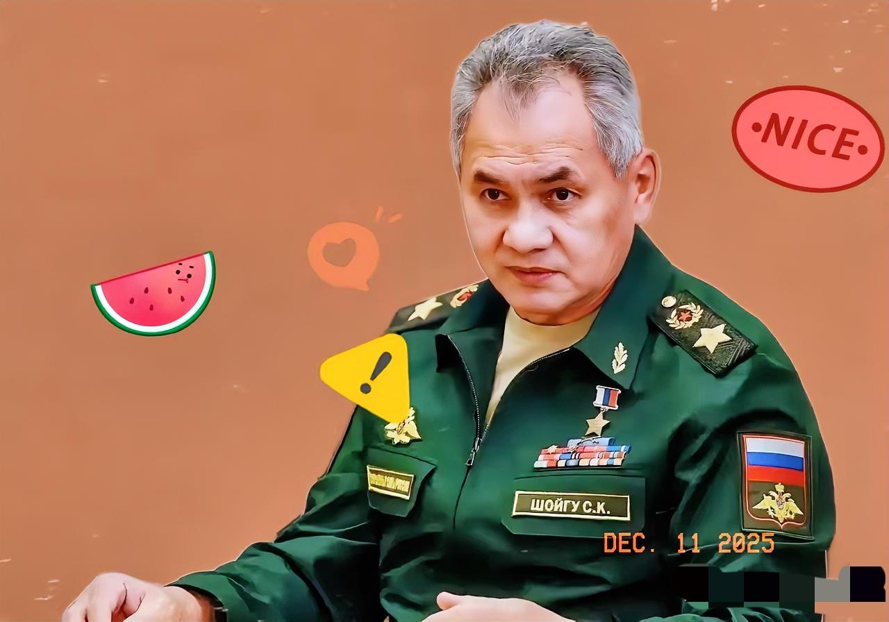 绍伊古强硬表态震慑日本：四岛皆入战场菜单，罪恶政权休想复燃

绍伊古大将一句话，