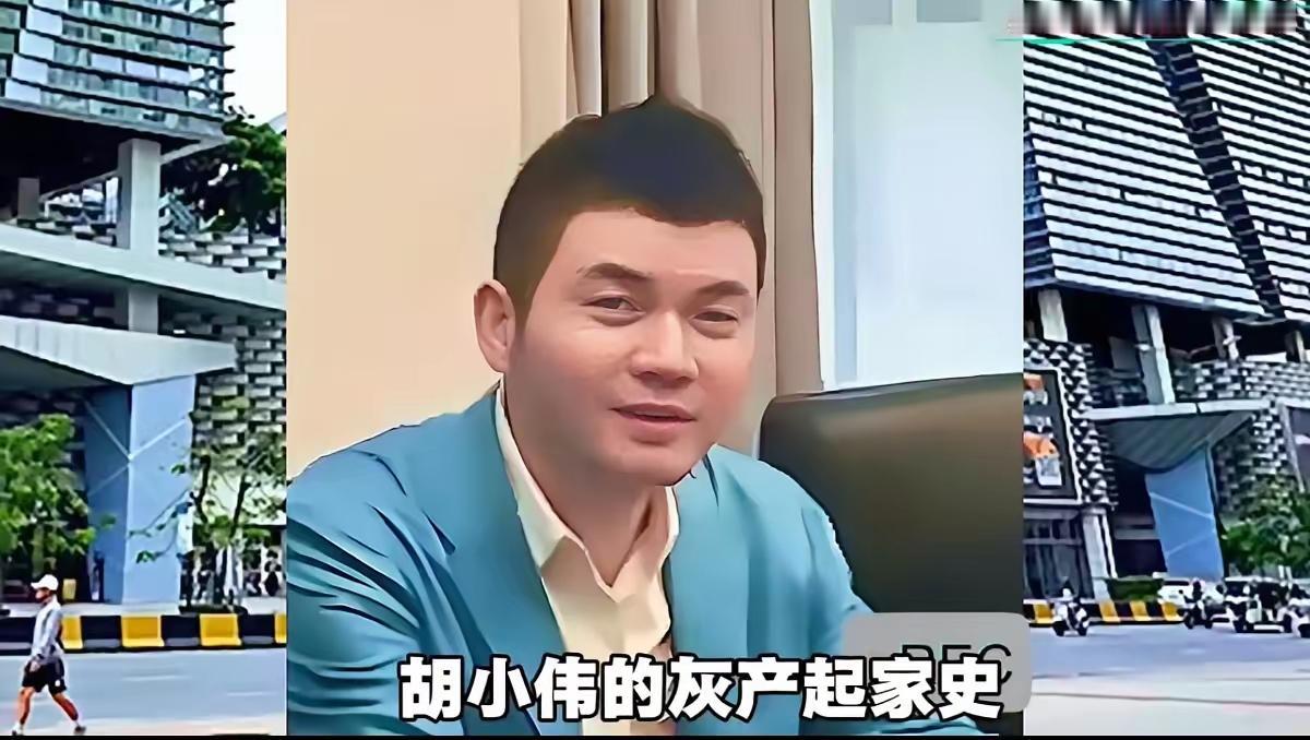 太子集团幕后大佬胡小伟在日本被捕。
可能对于这个名字大家都很陌生，但是太子集团都