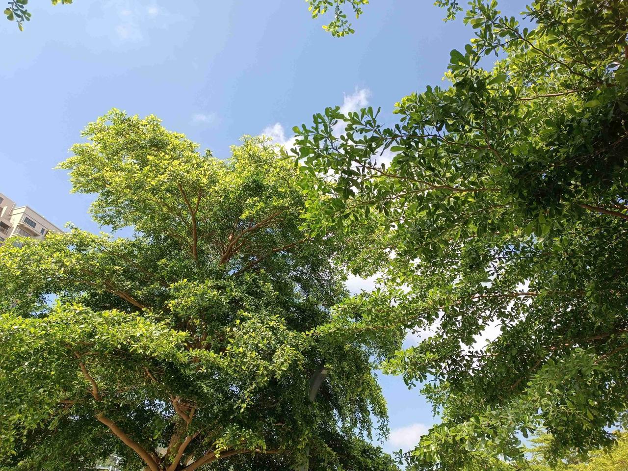 我的今日状态：🏃‍➡️运动
我这里的天气：☀️晴天