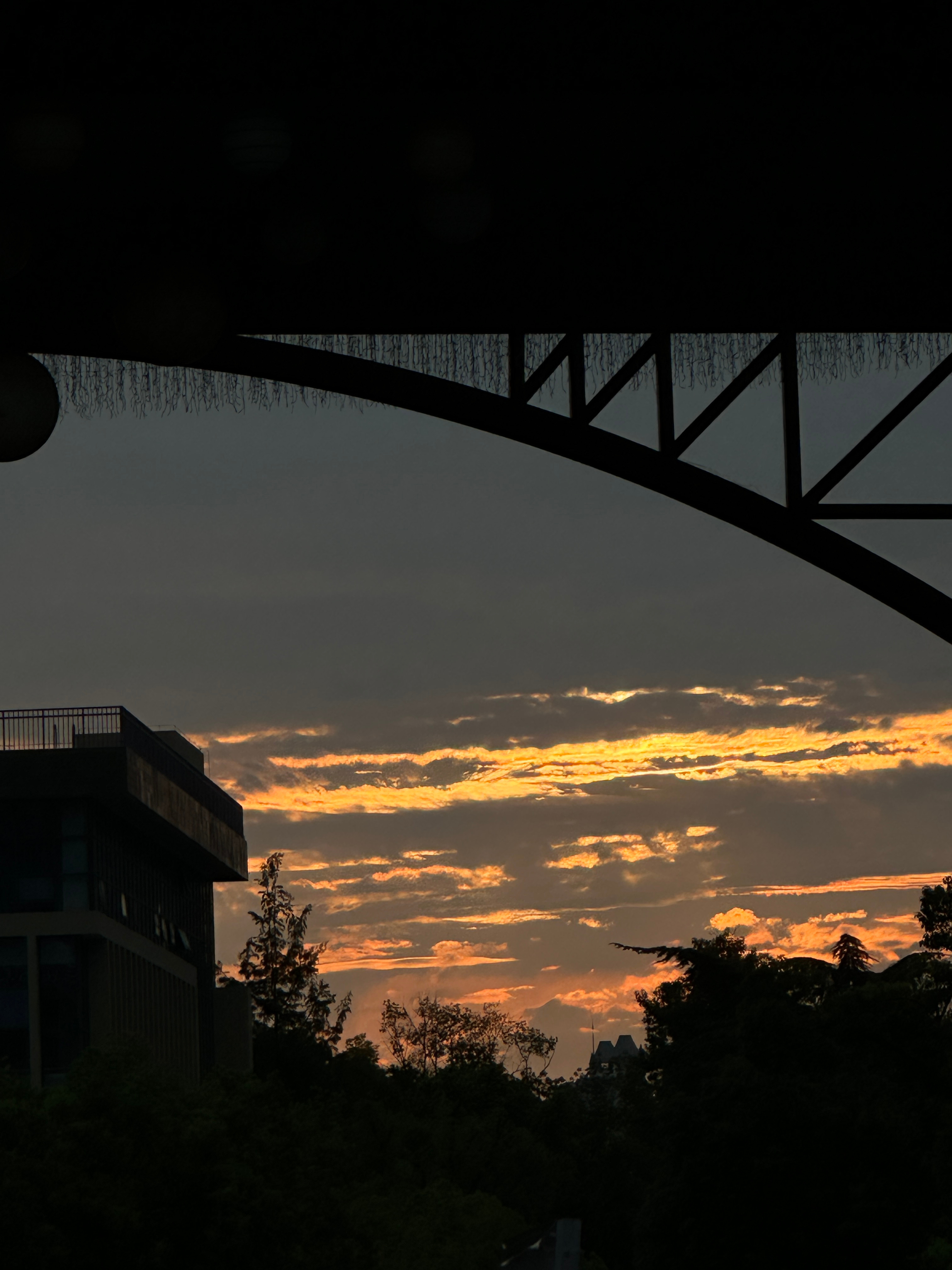 分享图片 ​​​