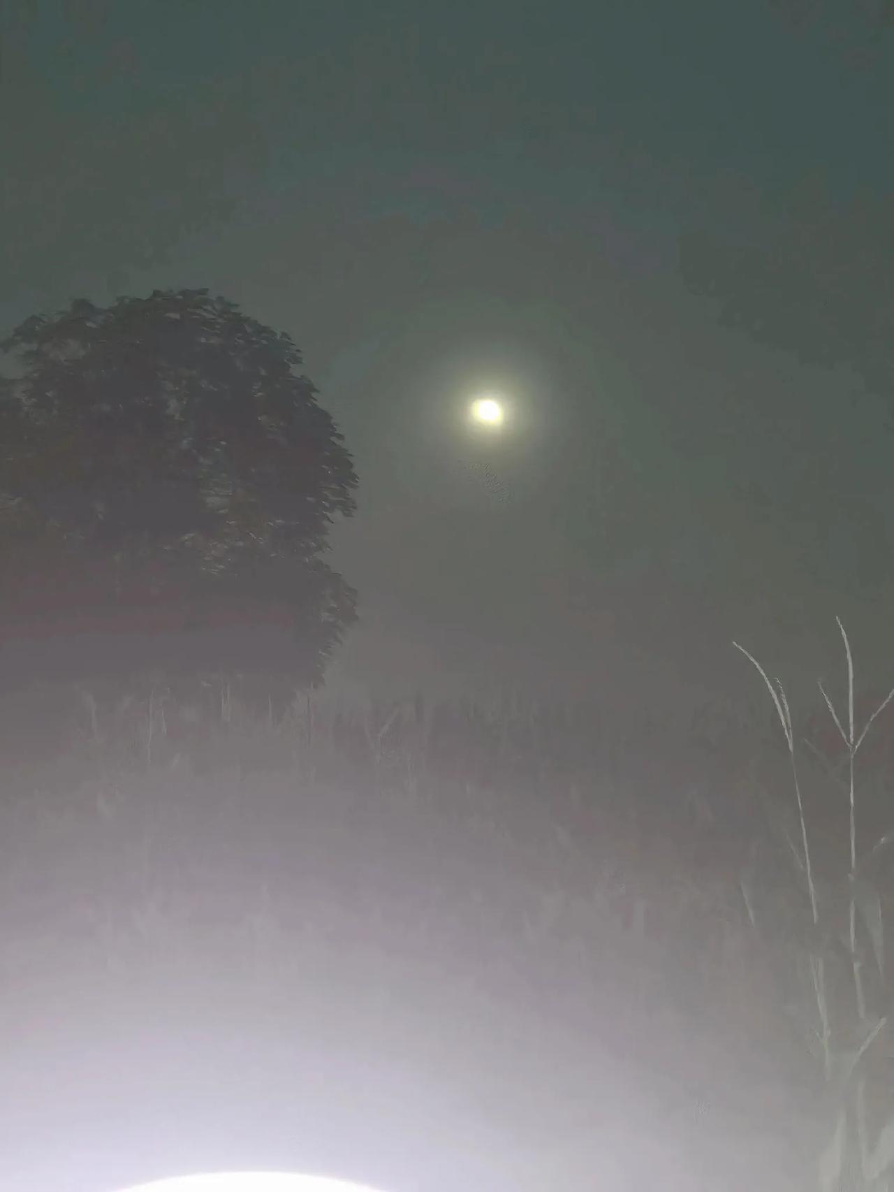 普通人每天一点微薄的薪水，忙忙碌碌为了意义是什么。不知道你在多年的沉淀后，每天起