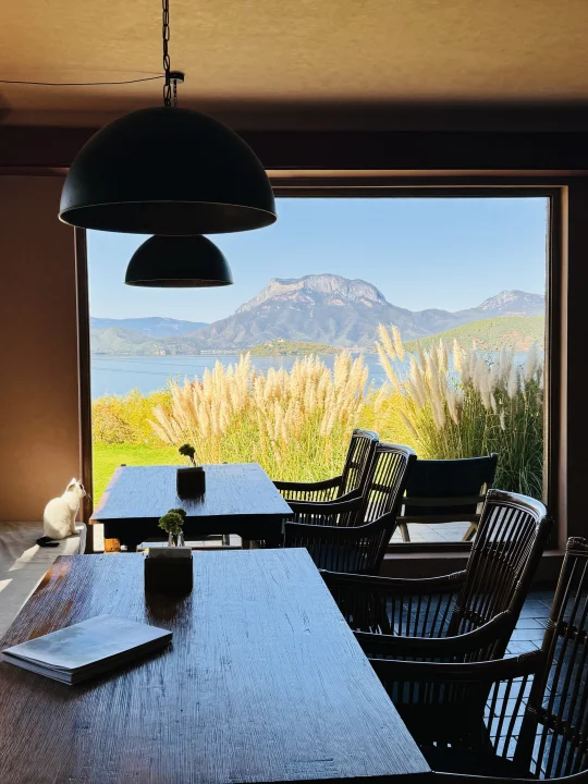 谁懂啊‼️在这些窗前我真的坐了一下午…🪟