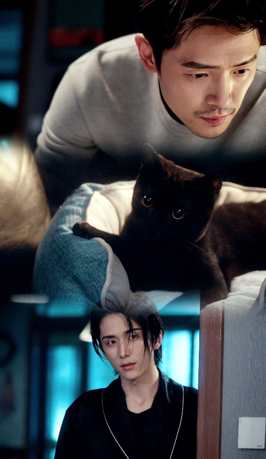 咋办，就这么同居养猫 ​​​