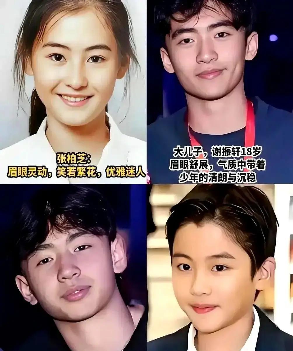 三个男孩摆在一起，像三张照片。
 
谢家两兄弟，一个冷脸像复制粘贴谢霆锋，一个眉