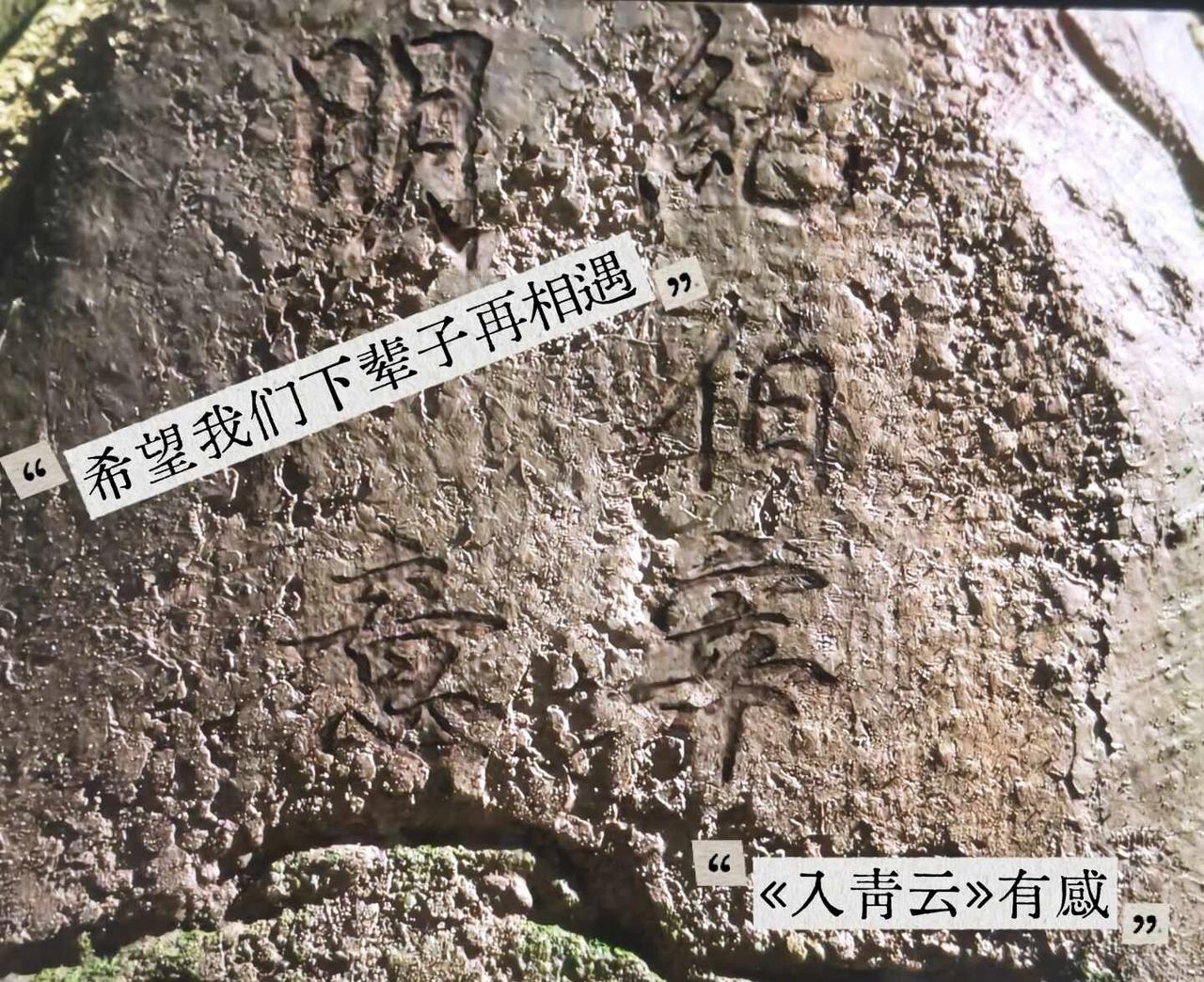 《入青云》夯爆了！！！！
《入青云》完美撒花！近几年看过的最好看的古偶仙侠剧😭
