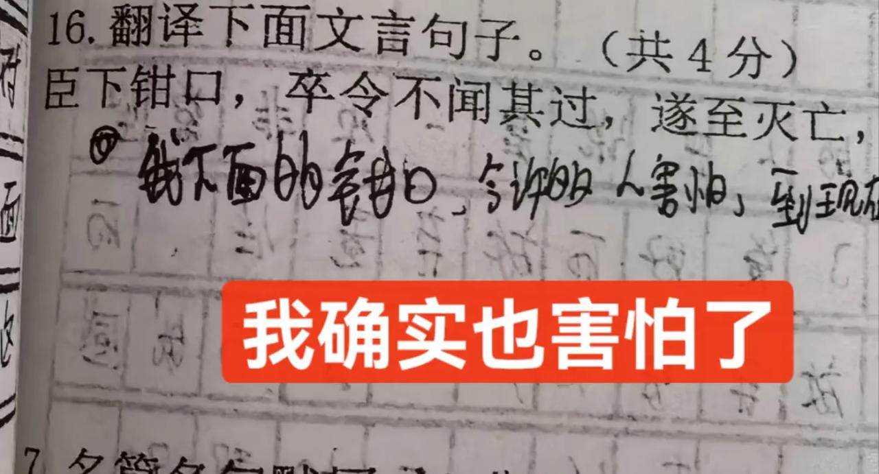老师的命也是命……
各种答案太离谱了，
老师们都笑趴了，
也很无奈。
正确译文是