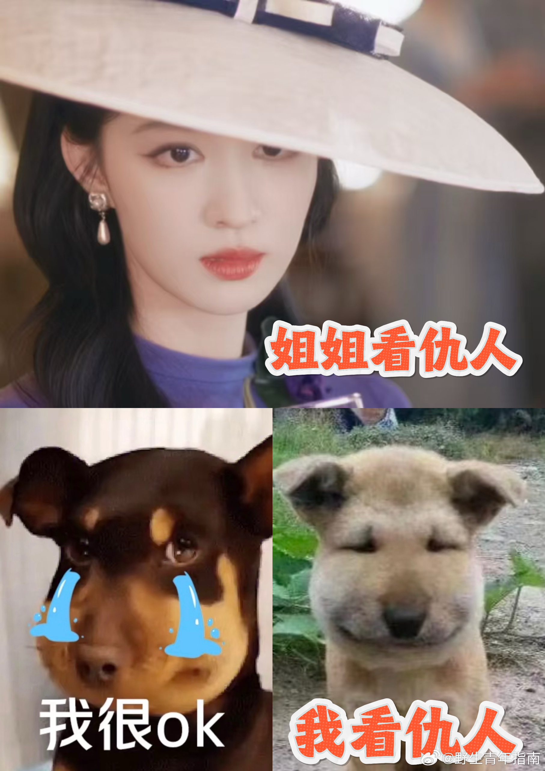 王楚然我学王楚然看仇人的眼神belike真的很难拒绝这样的画面，王楚然这段眼神戏