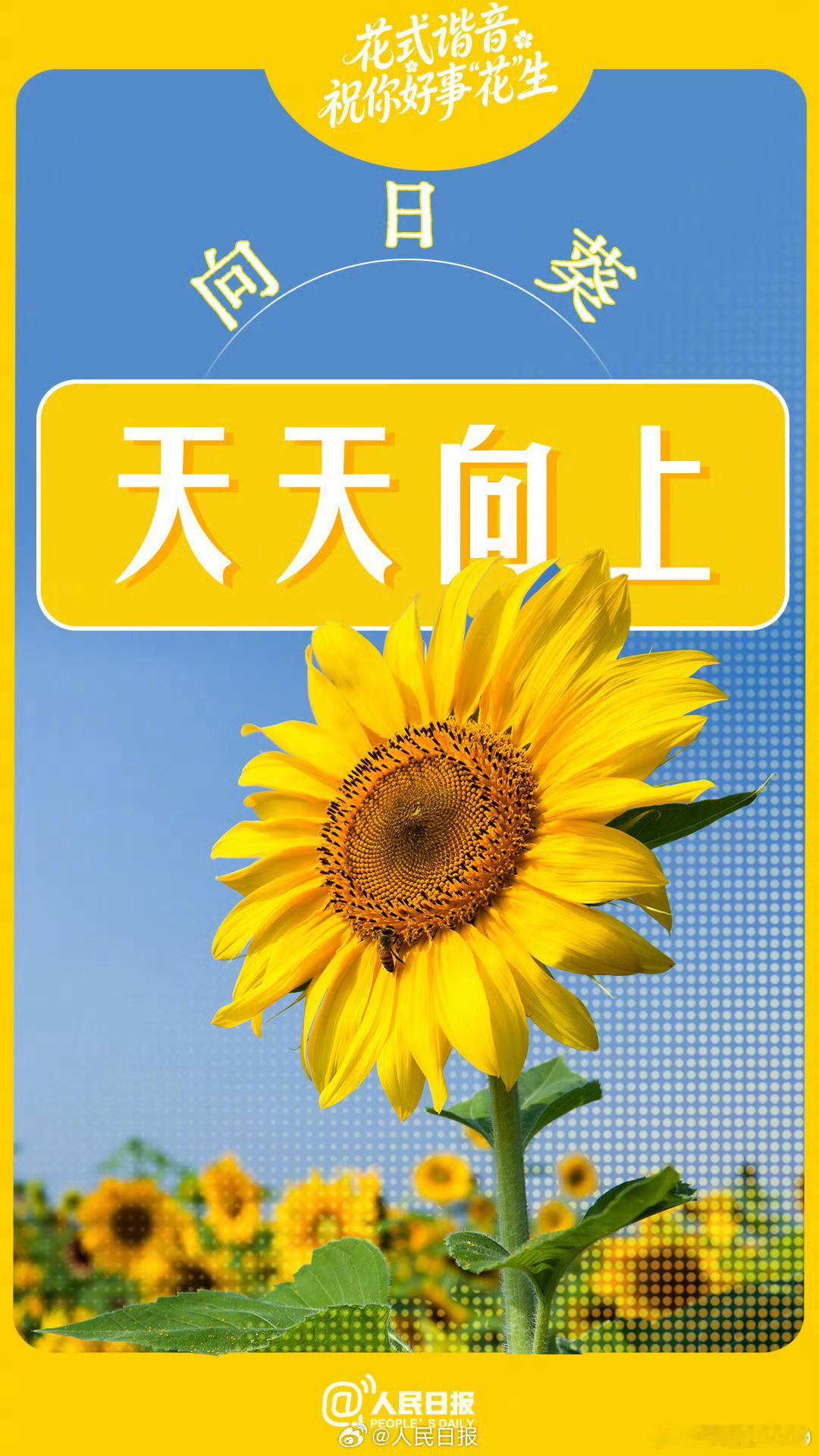 【转发分享！花式谐音祝你好事花生】字面意义上的花式祝福 节后上班第一天，你是否已