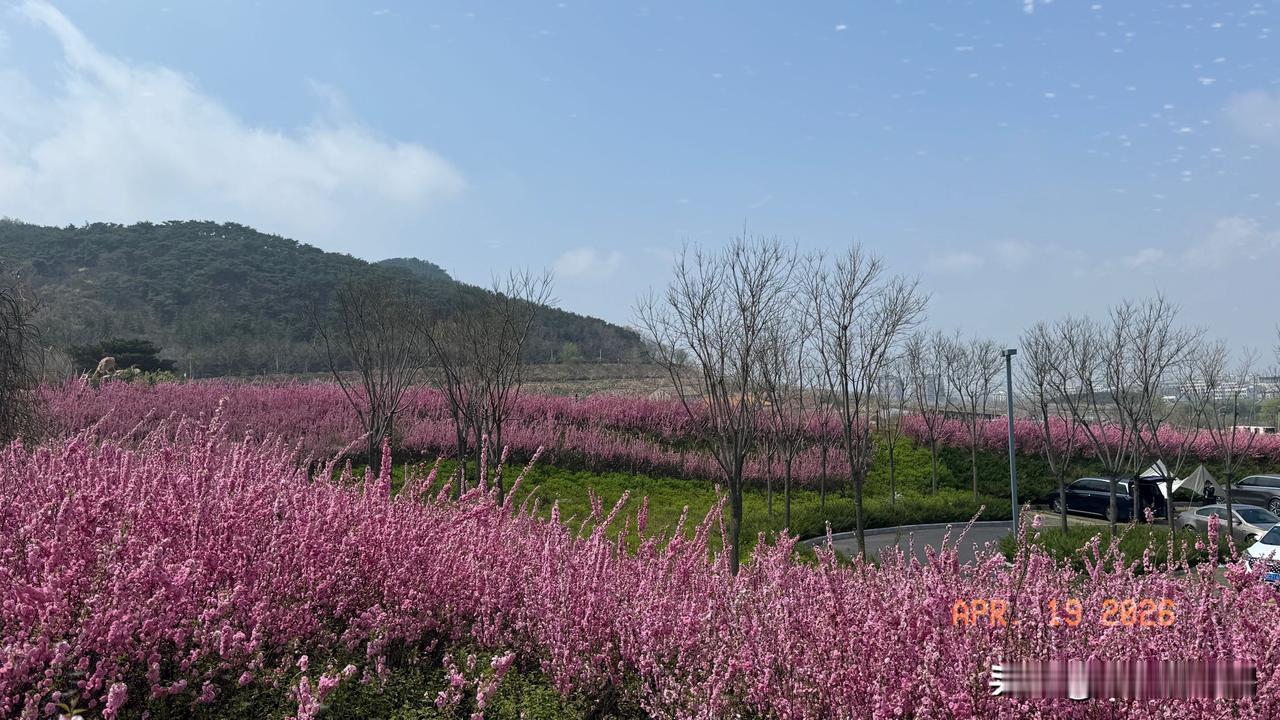 有没有人有反对意见