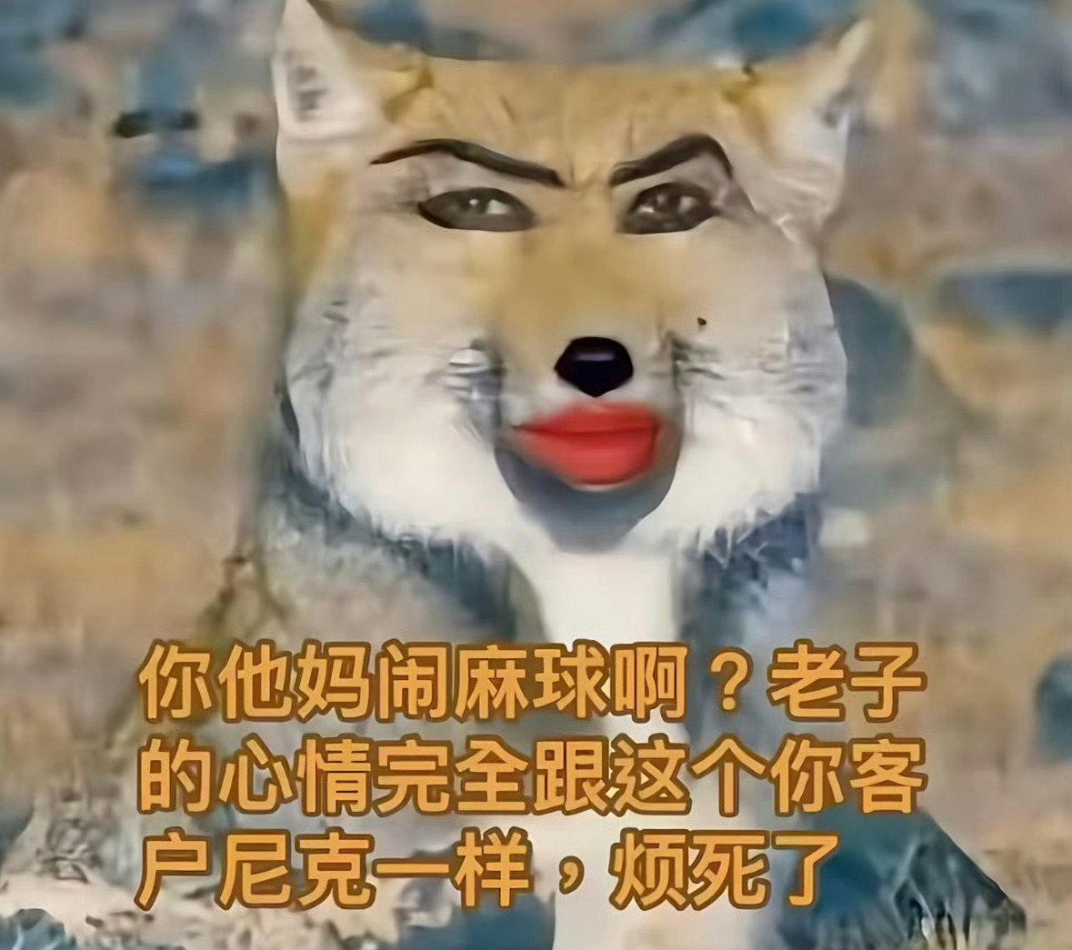 呃赖子娘有一百种对朴逼挑刺的方法 ​​​