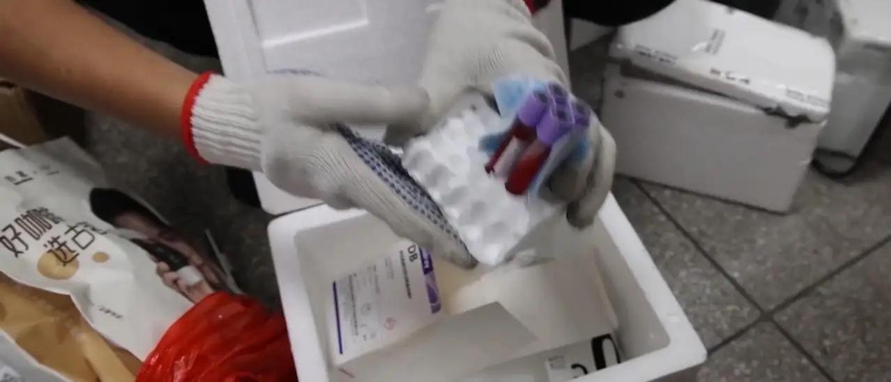 逾十万份孕妇血样，被人用胶带缠在腰上、塞进行李箱，一箱箱偷运出了国境。

这不是