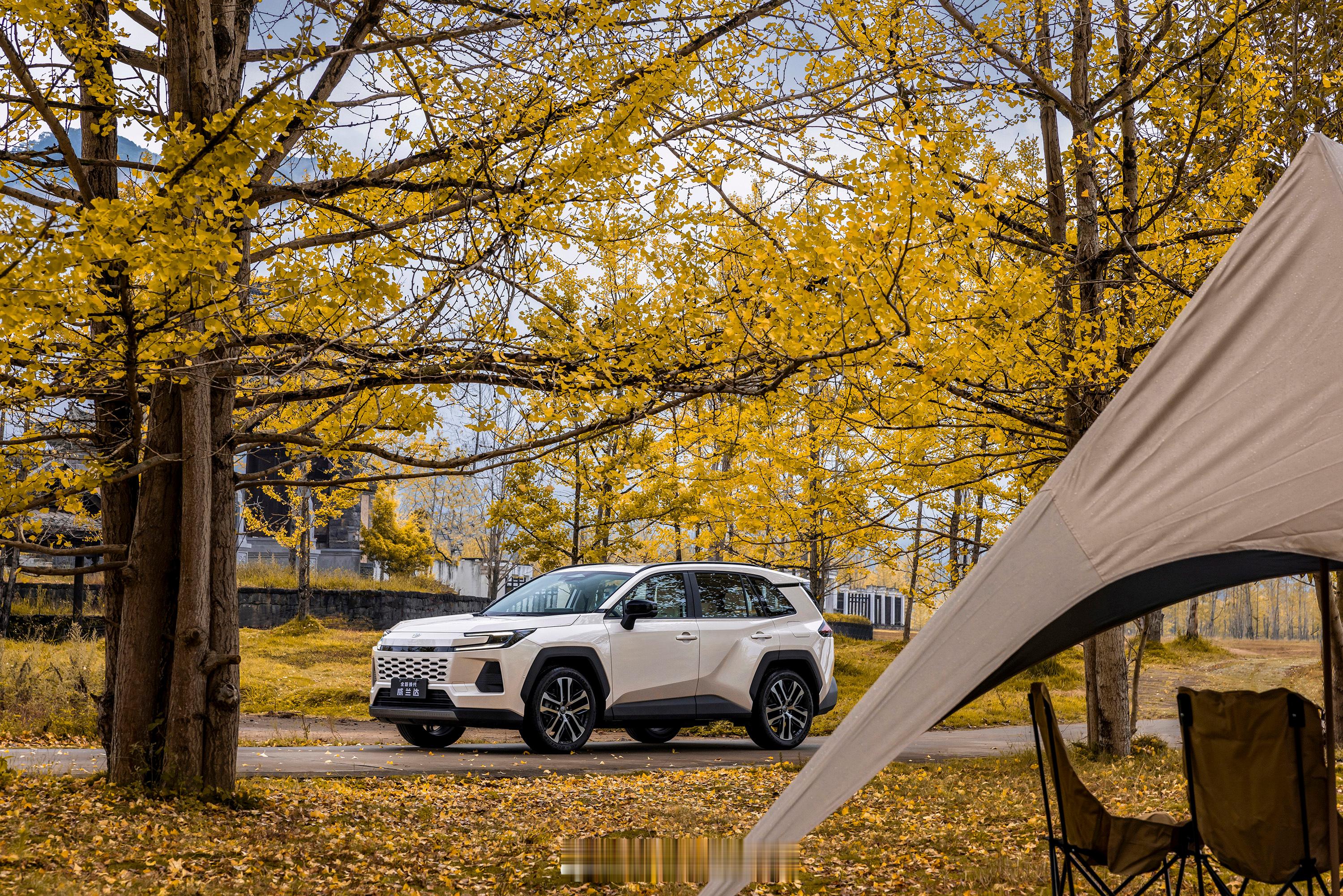 11月20日全新换代威兰达上市，广州车展同步亮相～ 延续丰田扎实机械素质，升级三