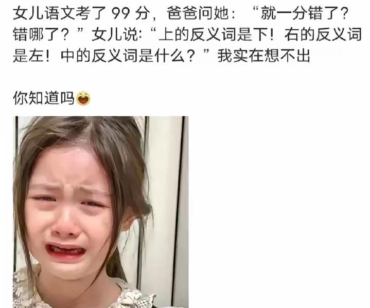 中的反义词是什么？网友说：是伪命题，[允悲] 
