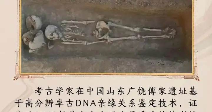 东营傅家遗址入选2025年度国际十大考古新闻