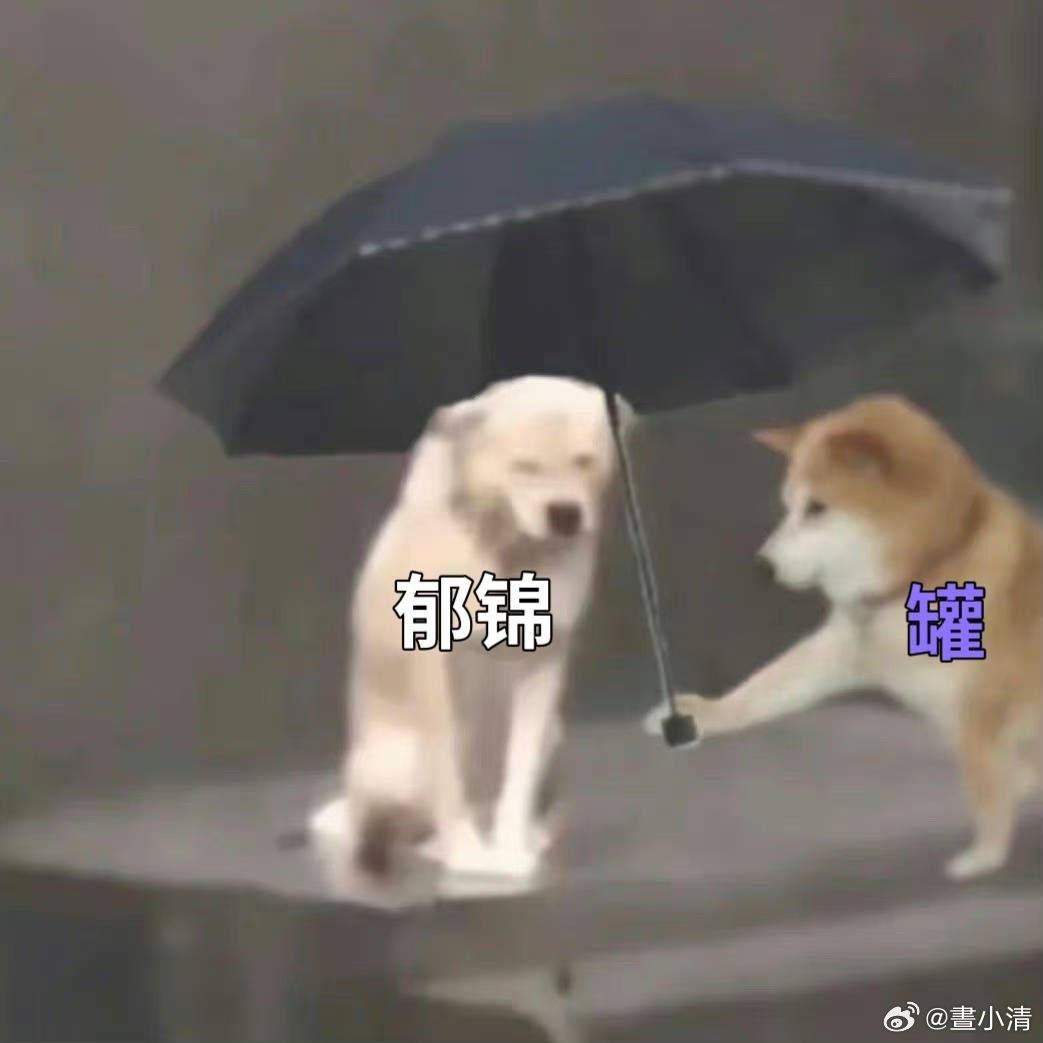 张晚意[超话] 郁锦不难过，给你撑伞☂️☂️☂️ ​​​