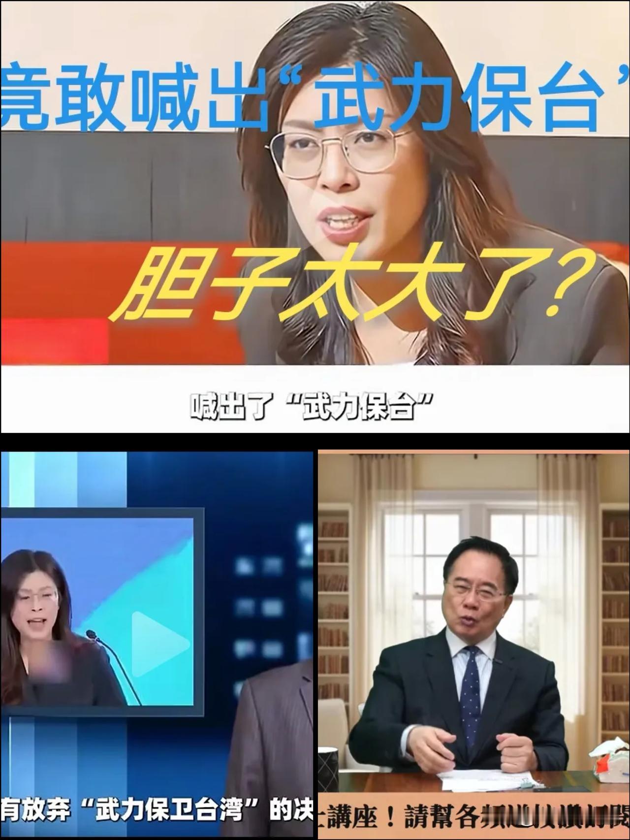 郑丽文“武力保台”野心昭然若揭，
分裂图谋暴露无遗！

郑丽文日前在接受媒体采访
