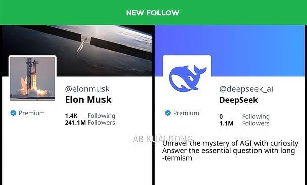 马斯克在今天上午，关注了中国 AI 公司 DeepSeek 账号 目前双方唯一的