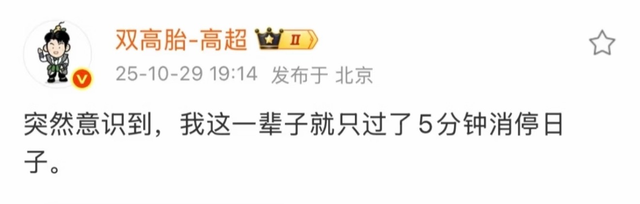 双胞胎叫Ctrl C和Ctrl V，双高胎叫我这辈子就只过了五分钟消停日子[喵喵