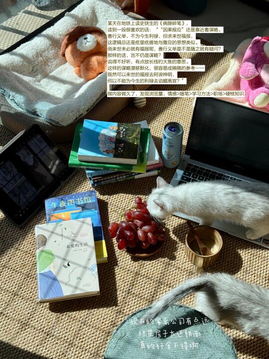 我发现，把习惯融入日常才是顶级自律！🐌