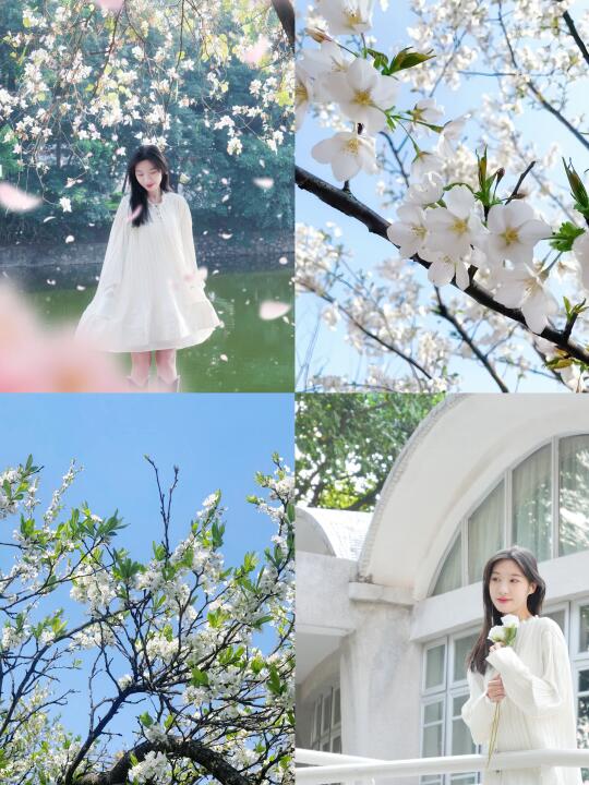 华农City walk ❗️春日赏花🌸➕美食✨