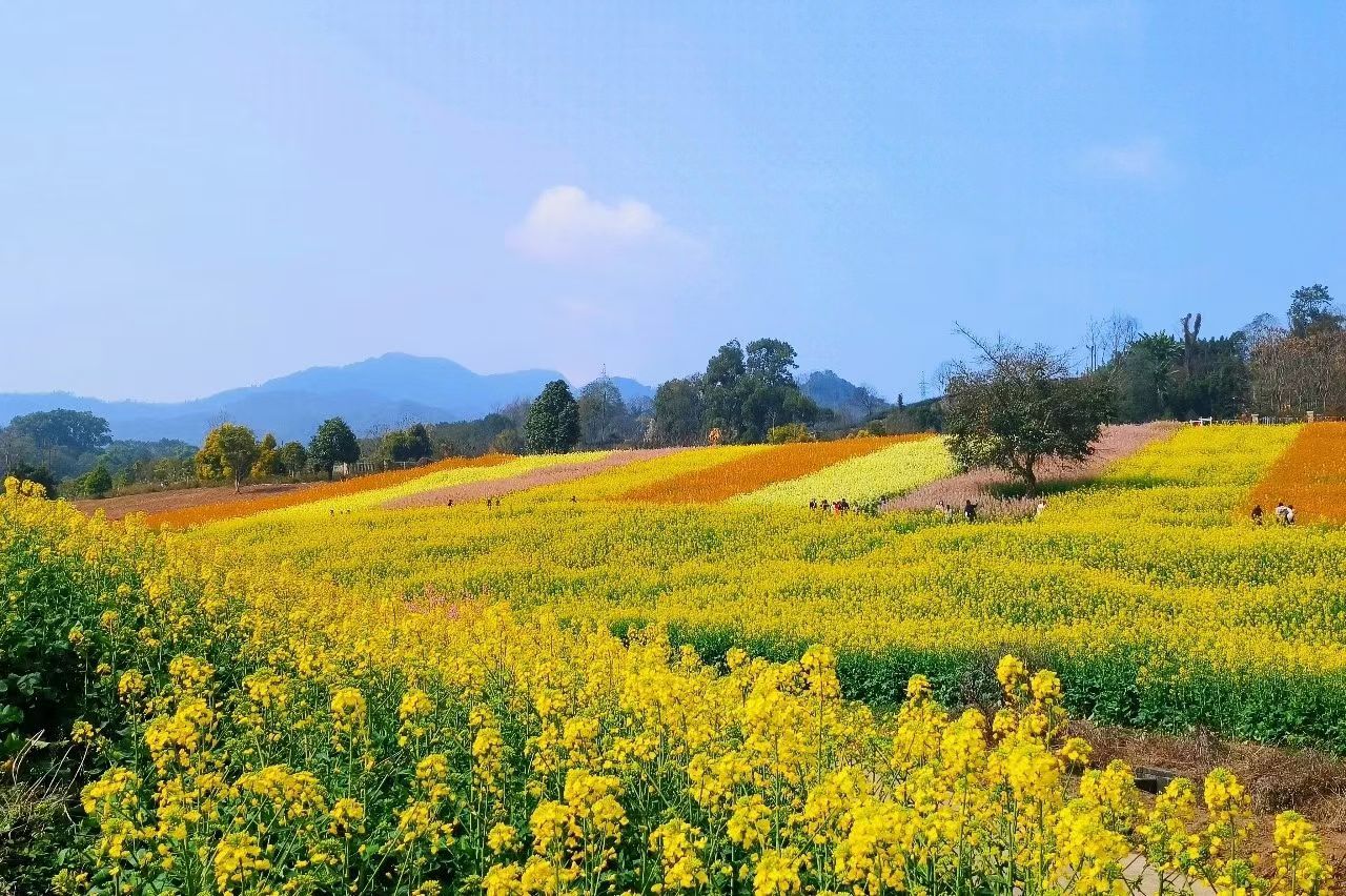 晚安💤寄语2023.3.13我认为在人之上要看得起人，在人之下要看得起自己。人