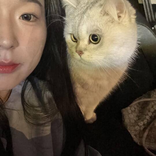 又是妈妈出行好搭子