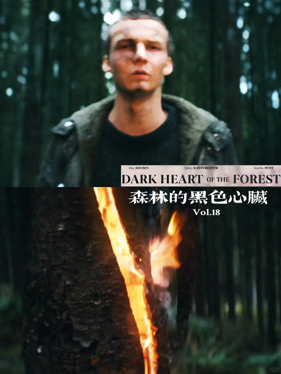 一部冷门比利时电影🫀森林的黑色心脏