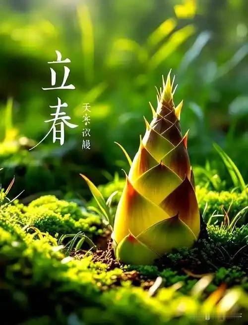 你家孩子读博士需要家里补贴吗? 孩子正在读985的博士！
是不需要家里补贴的，听