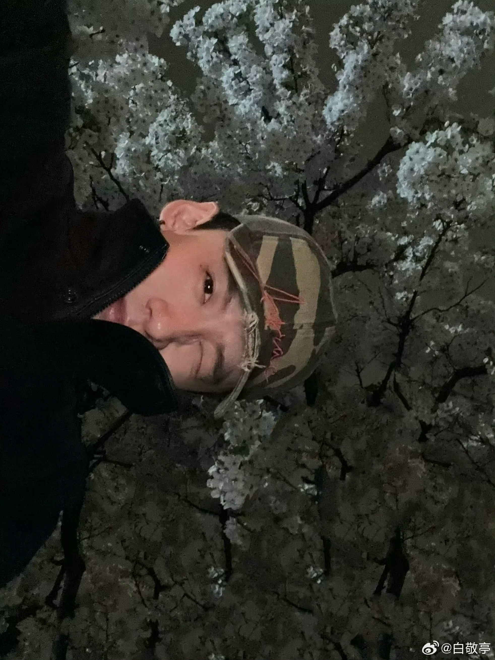 把春天拍给你看已发送一份「春日漫游」相册📸请查收～✉️ 