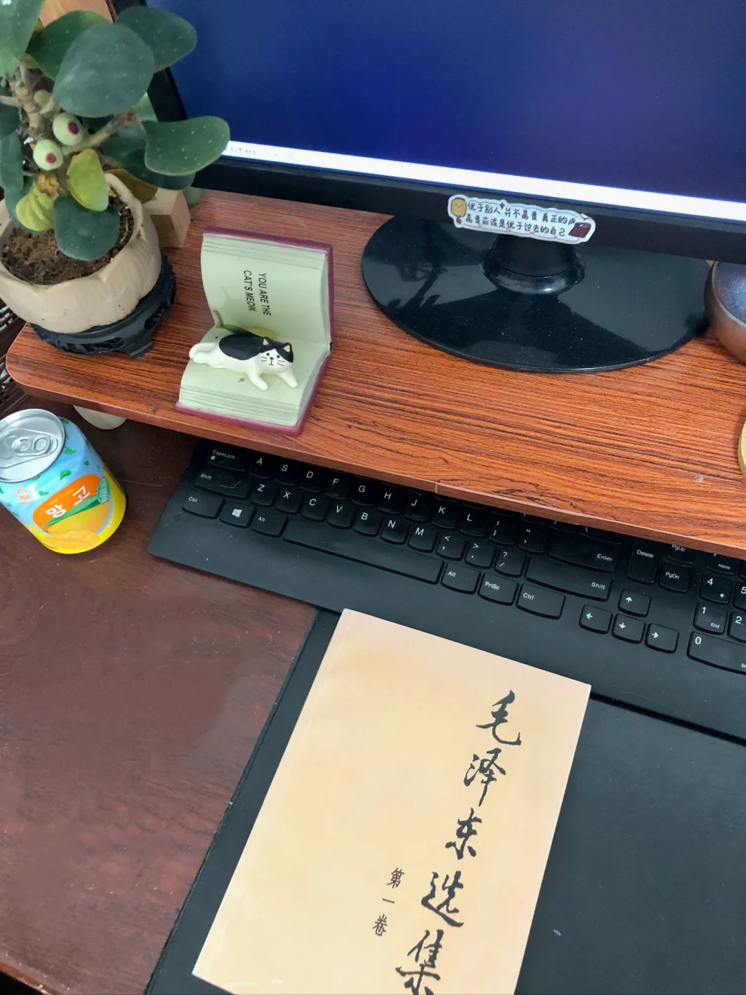 我发现体制女生长脑子最快的方法是读明史！